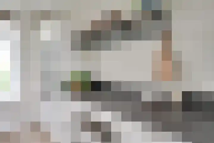 Oostmijzerdijk 7 Schermerhorn thumbnail 17
