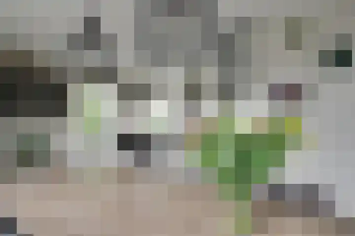 Oostmijzerdijk 7 Schermerhorn thumbnail 18