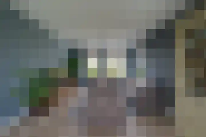 Oostmijzerdijk 7 Schermerhorn thumbnail 20