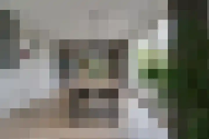 Oostmijzerdijk 7 Schermerhorn thumbnail 25