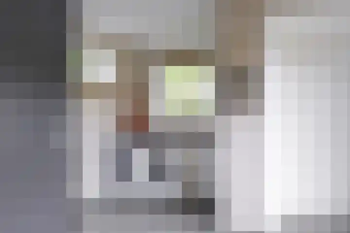 Oostmijzerdijk 7 Schermerhorn thumbnail 29