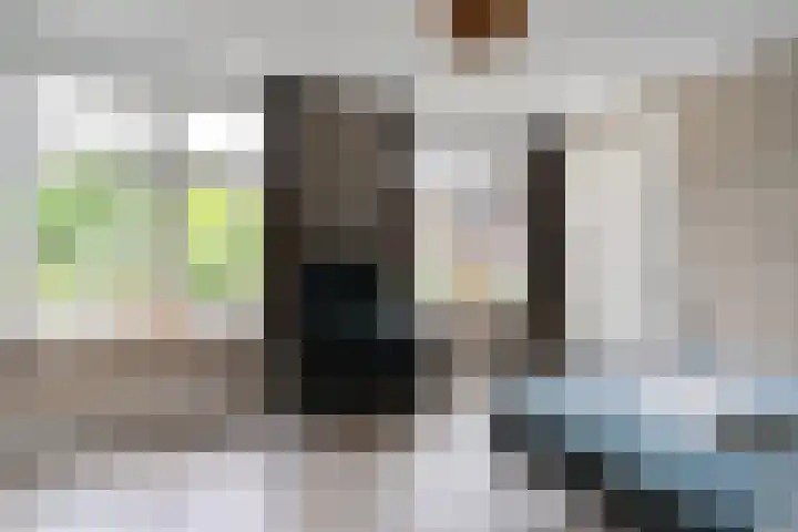 Oostmijzerdijk 7 Schermerhorn thumbnail 30