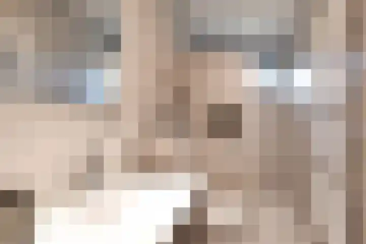 Oostmijzerdijk 7 Schermerhorn thumbnail 34