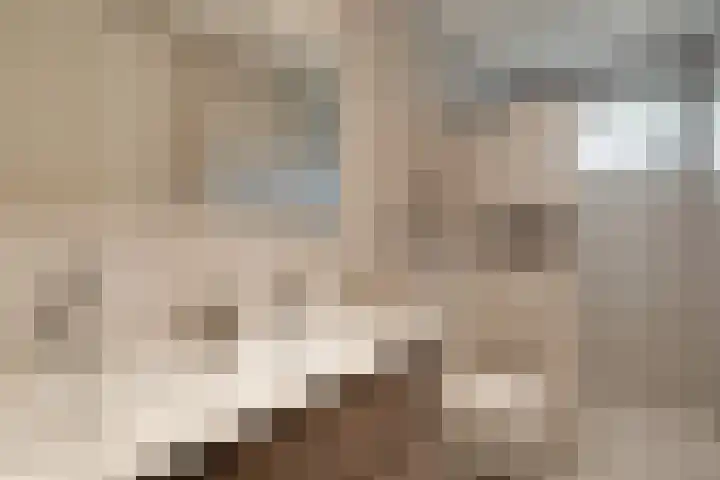 Oostmijzerdijk 7 Schermerhorn thumbnail 36