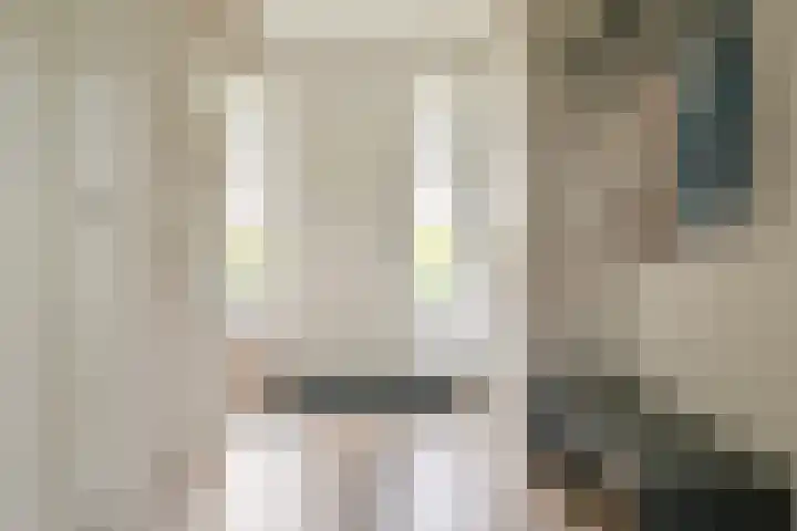 Oostmijzerdijk 7 Schermerhorn thumbnail 37