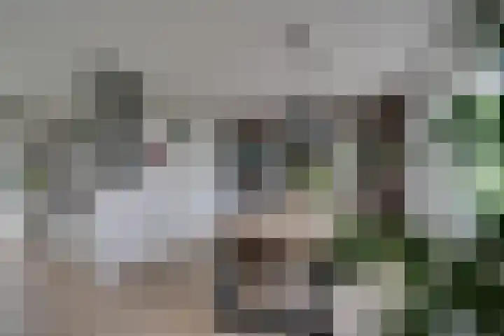 Oostmijzerdijk 7 Schermerhorn thumbnail 4