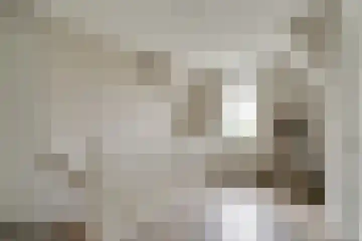 Oostmijzerdijk 7 Schermerhorn thumbnail 40