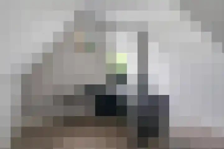 Oostmijzerdijk 7 Schermerhorn thumbnail 42