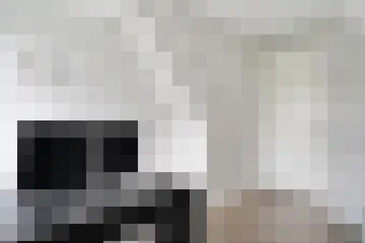 Oostmijzerdijk 7 Schermerhorn thumbnail 43