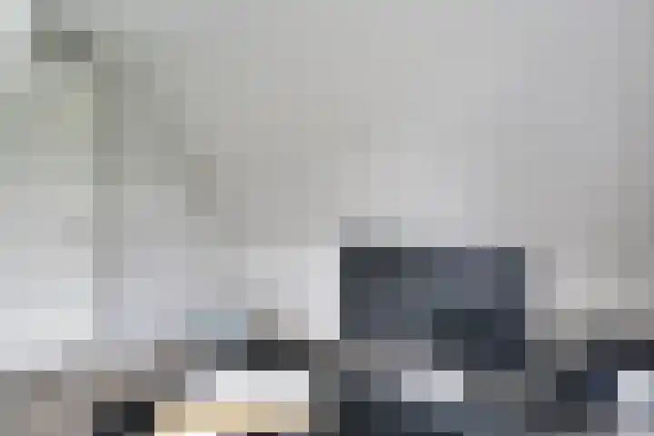 Oostmijzerdijk 7 Schermerhorn thumbnail 44