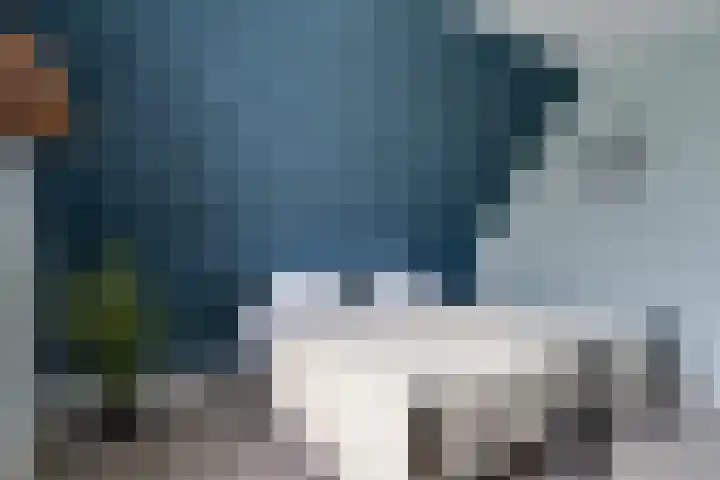 Oostmijzerdijk 7 Schermerhorn thumbnail 50