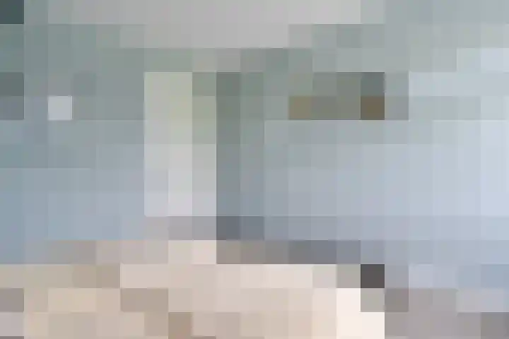 Oostmijzerdijk 7 Schermerhorn thumbnail 51