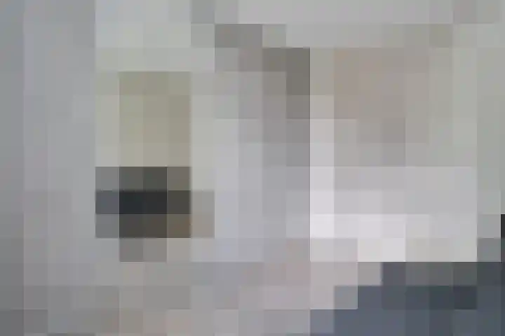Oostmijzerdijk 7 Schermerhorn thumbnail 58