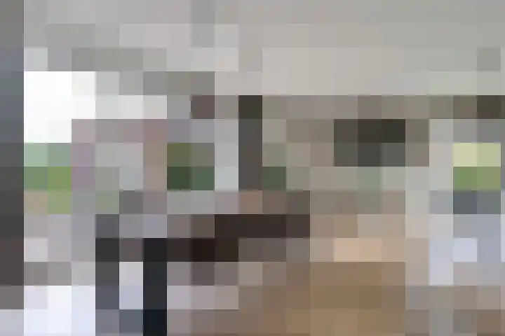 Oostmijzerdijk 7 Schermerhorn thumbnail 6