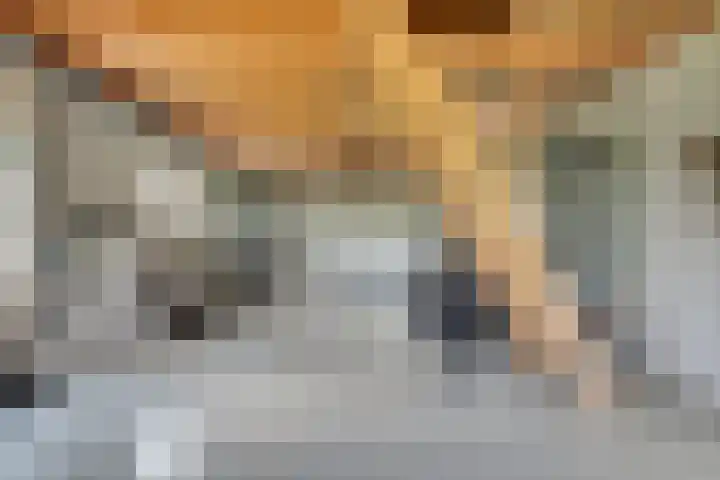 Oostmijzerdijk 7 Schermerhorn thumbnail 69