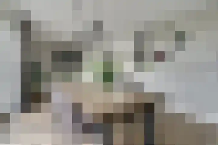 Oostmijzerdijk 7 Schermerhorn thumbnail 7