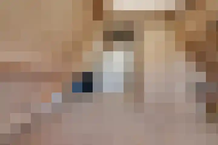 Oostmijzerdijk 7 Schermerhorn thumbnail 72