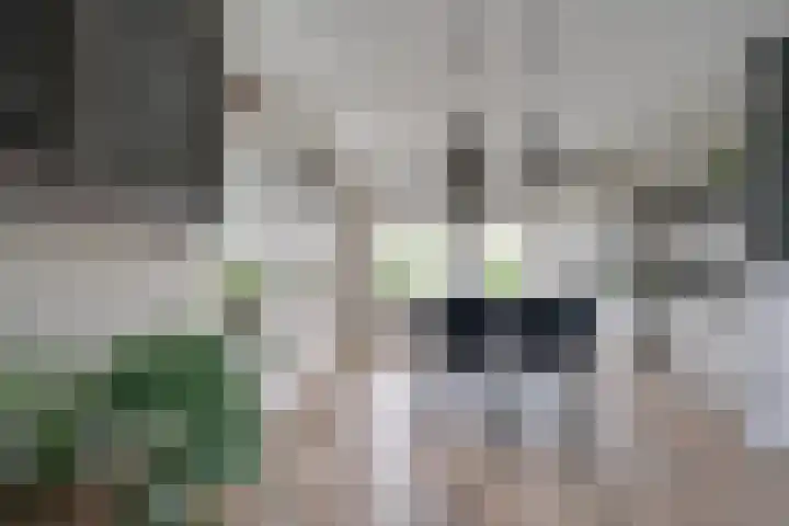 Oostmijzerdijk 7 Schermerhorn thumbnail 8