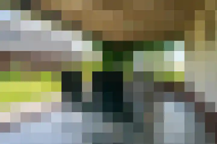 Oostmijzerdijk 7 Schermerhorn thumbnail 83