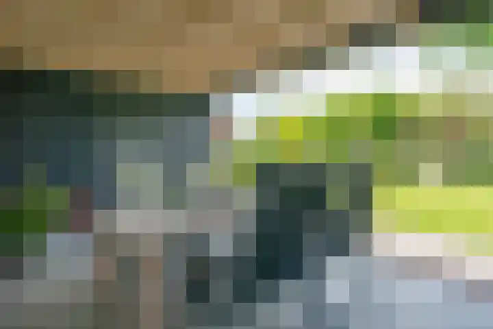 Oostmijzerdijk 7 Schermerhorn thumbnail 85