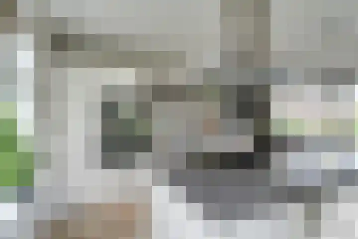 Oostmijzerdijk 7 Schermerhorn thumbnail 9