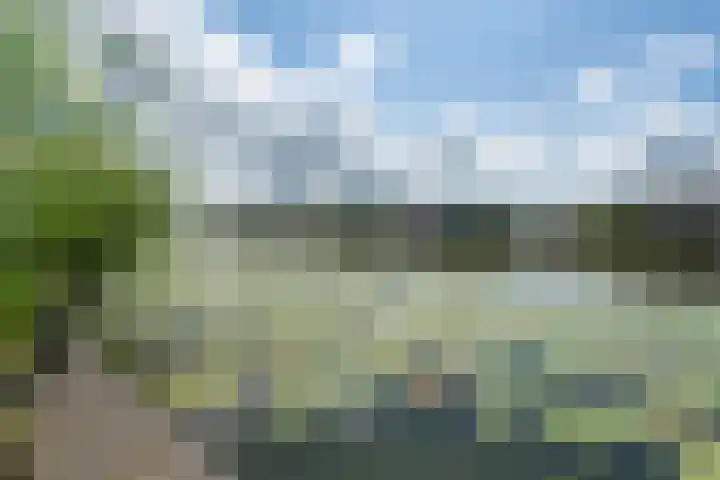 Oostmijzerdijk 7 Schermerhorn thumbnail 90