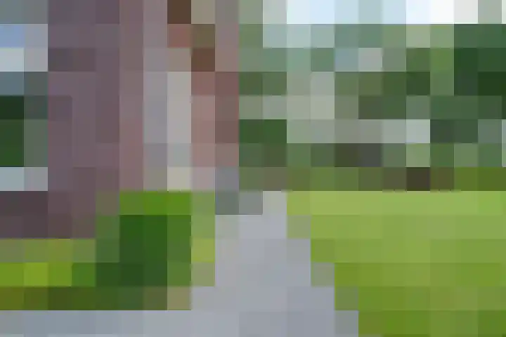 Oostmijzerdijk 7 Schermerhorn thumbnail 91