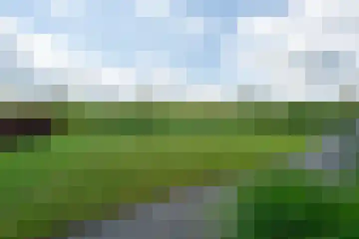 Oostmijzerdijk 7 Schermerhorn thumbnail 92