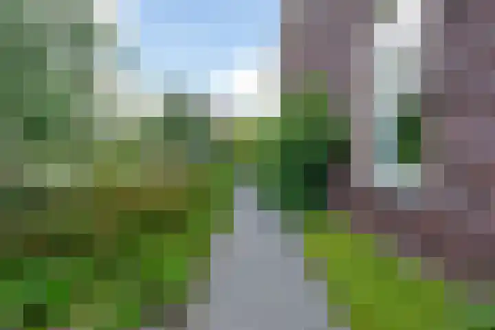 Oostmijzerdijk 7 Schermerhorn thumbnail 93