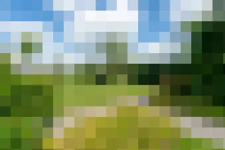 Oostmijzerdijk 7 Schermerhorn thumbnail 94