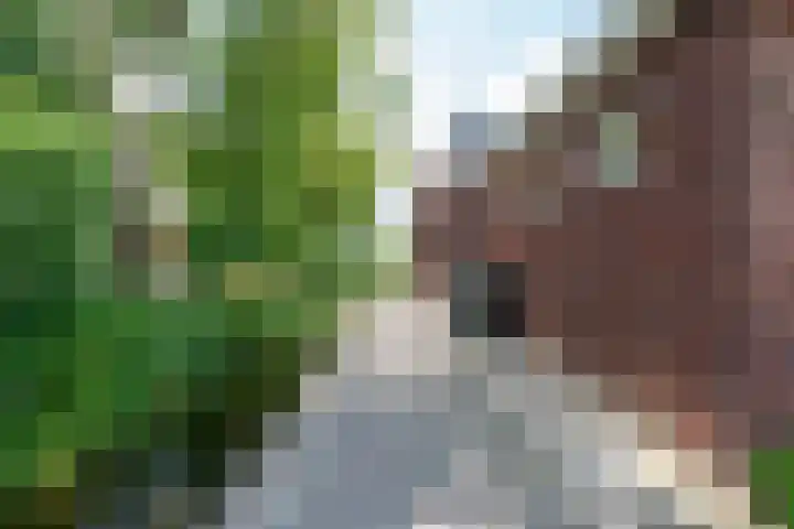 Oostmijzerdijk 7 Schermerhorn thumbnail 95