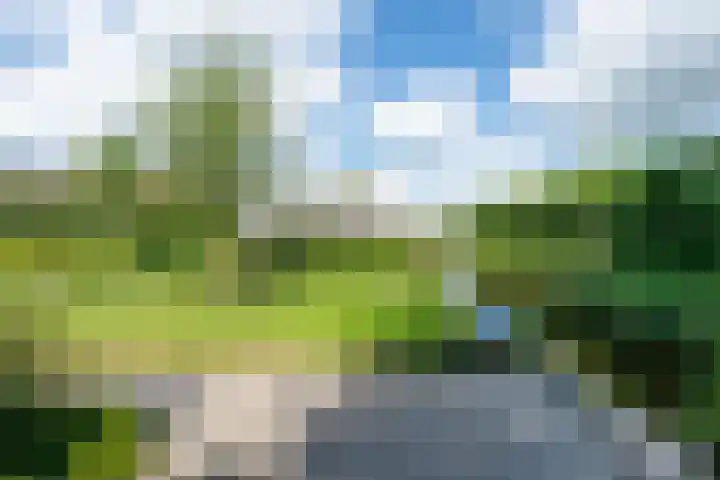 Oostmijzerdijk 7 Schermerhorn thumbnail 97