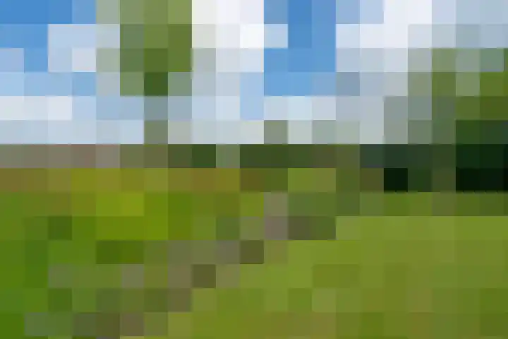 Oostmijzerdijk 7 Schermerhorn thumbnail 98