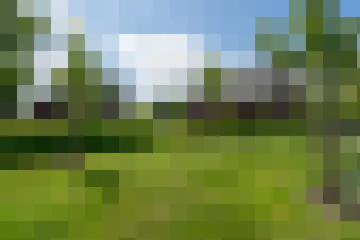 Oostmijzerdijk 7 Schermerhorn thumbnail 99