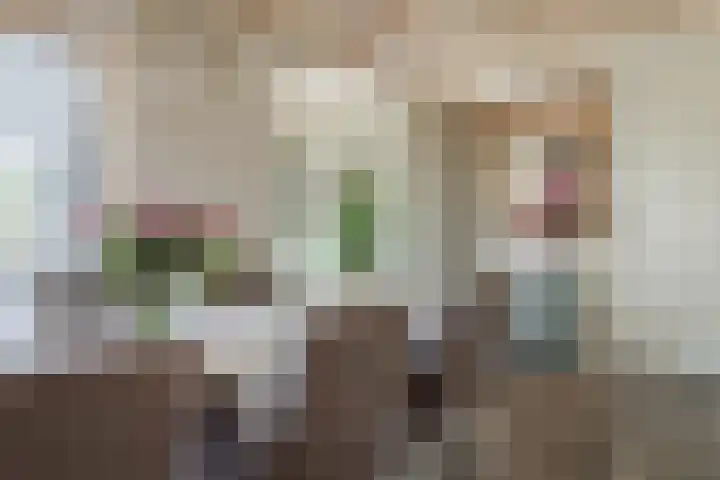 Oostmijzerdijk 9 B Schermerhorn thumbnail 10
