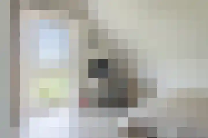 Oostmijzerdijk 9 B Schermerhorn thumbnail 14