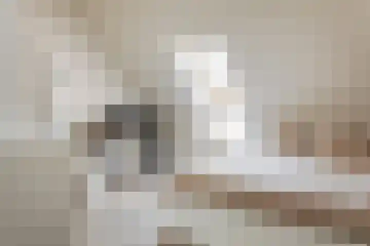 Oostmijzerdijk 9 B Schermerhorn thumbnail 19