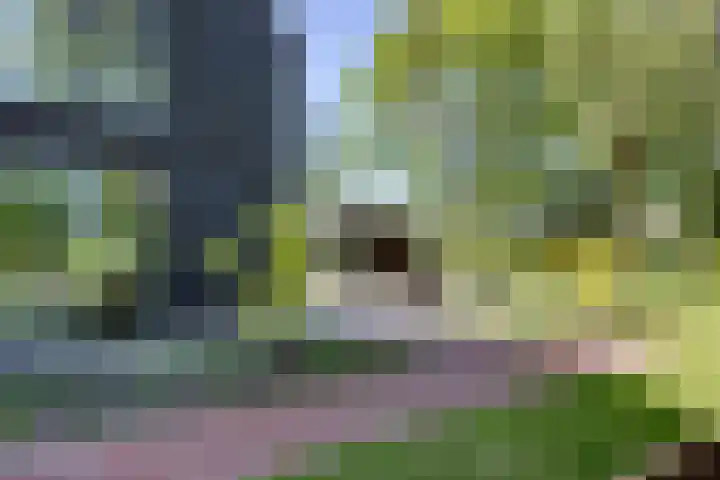 Oostmijzerdijk 9 B Schermerhorn thumbnail 22
