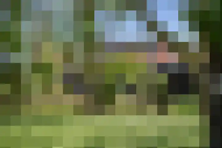 Oostmijzerdijk 9 B Schermerhorn thumbnail 23