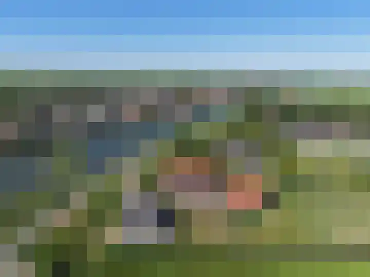 Oostmijzerdijk 9 B Schermerhorn thumbnail 24