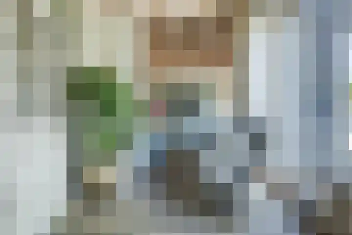 Oostmijzerdijk 9 B Schermerhorn thumbnail 8