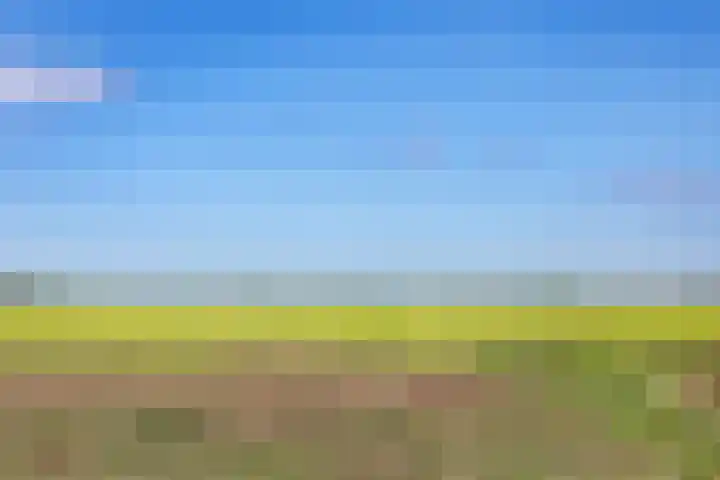 Oostmijzerdijk 9 C Schermerhorn thumbnail 17