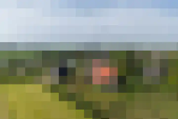 Oostmijzerdijk 9 C Schermerhorn thumbnail 18