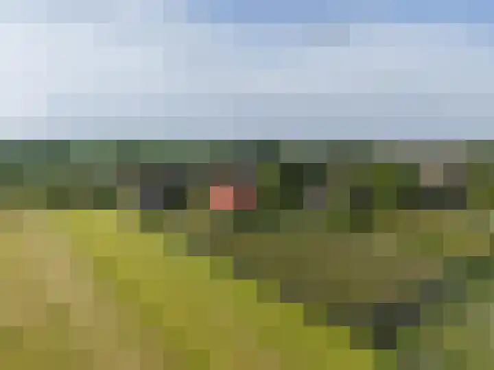 Oostmijzerdijk 9 C Schermerhorn thumbnail 21
