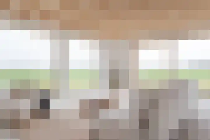Oostmijzerdijk 9 C Schermerhorn thumbnail 6