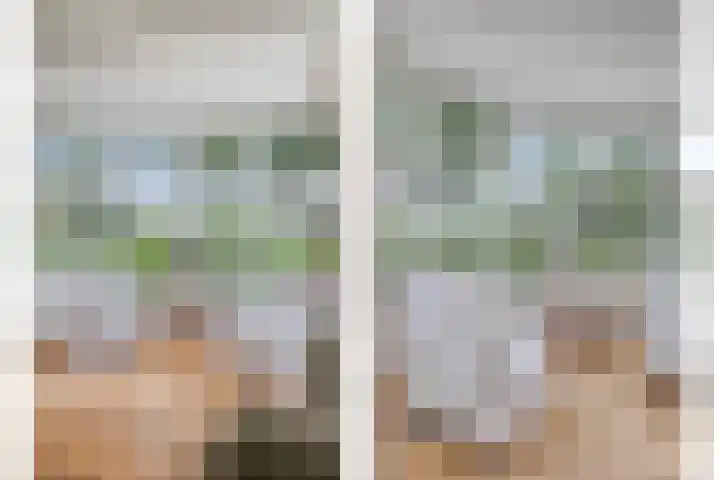 Oostmoer 34 Nispen thumbnail 14