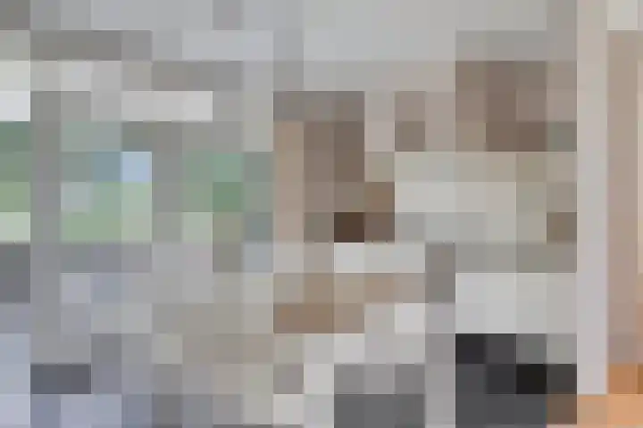 Oostmoer 34 Nispen thumbnail 19
