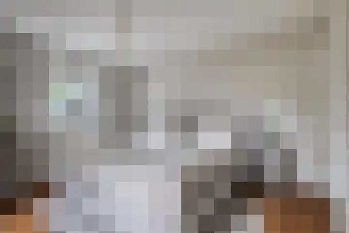 Oostmoer 34 Nispen thumbnail 32