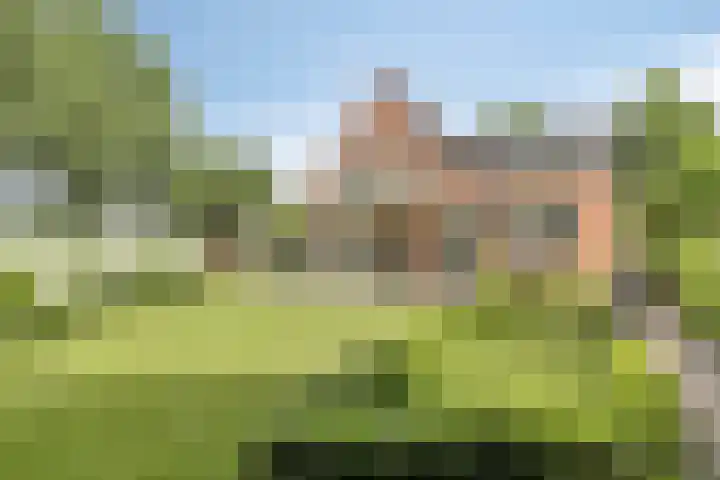Oostmoer 34 Nispen thumbnail 4