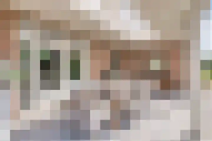 Oostmoer 34 Nispen thumbnail 56
